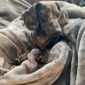 Meet your Posher, Sylvie M